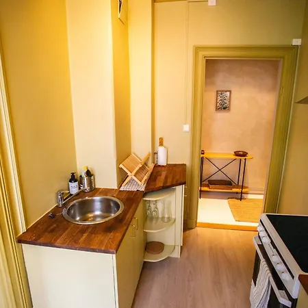 Charming 1800s W Fireplace And Free Parking شقة