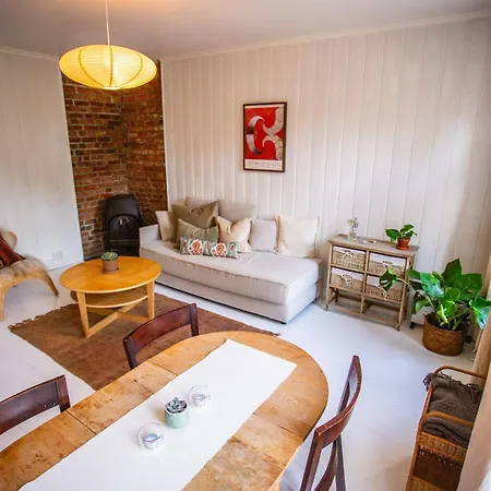 Charming 1800s W Fireplace And Free Parking أوسلو